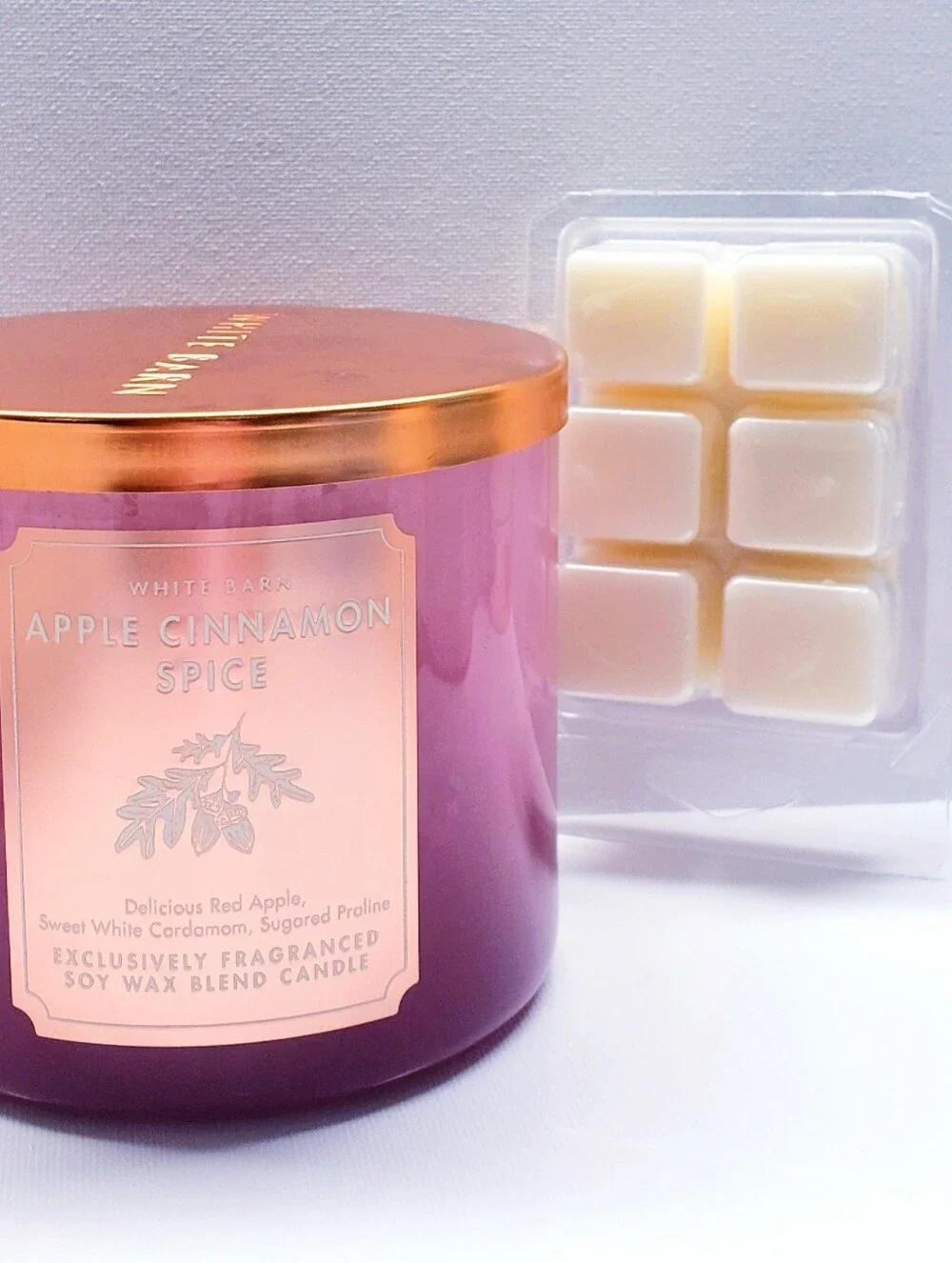 APPLE CINNAMON SPICE -Bath & Body Works Candle Wax Melts- $8 per pack